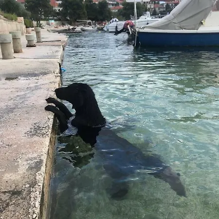 Apartament Fabjanac Trogir