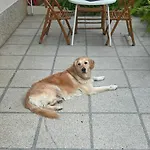 Fabjanac
