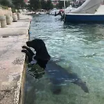 Apartmán Fabjanac Trogir